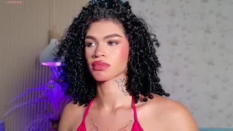 americapaz online show from December 3, 5:52 am