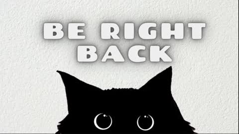 amituist online show from March 19, 12:49 am