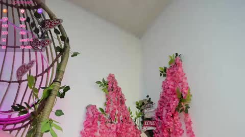 AMY online show from March 6, 11:14 am