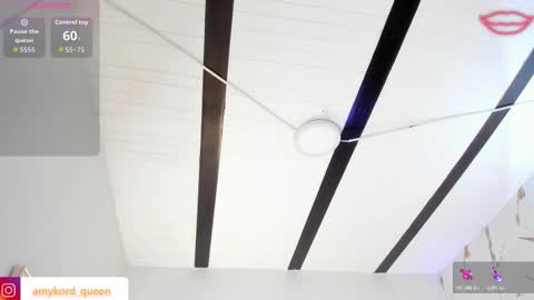 Amykord online show from November 19, 11:20 am