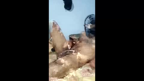 andrs378 online show from April 18, 10:43 pm