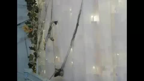 ANGELA online show from October 27, 6:02 am