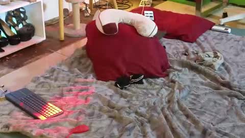 Angel online show from March 12, 4:51 am