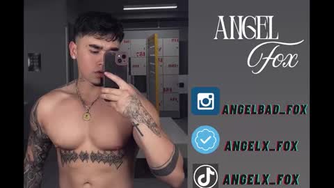 Angel Fox online show from January 14, 9:56 pm