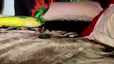 Snapshot of angusbone01 chatting on December 17, 7:39 am angusbone01 online show from December 17, 7:39 am