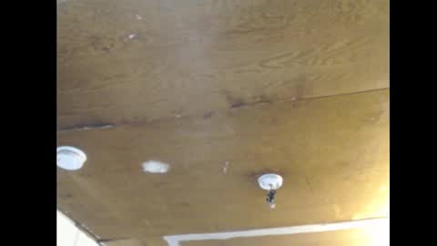 Snapshot of anilyseardor chatting on February 25, 2:15 pm Ani online show from February 25, 2:15 pm