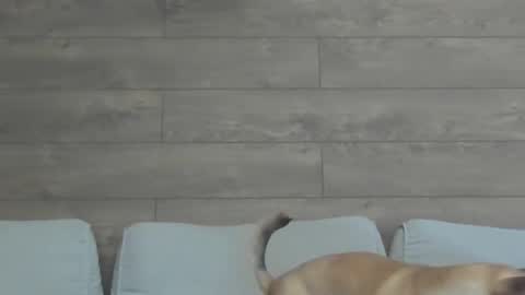 Snapshot of annasplash chatting on March 10, 9:01 am annasplash online show from March 10, 9:01 am