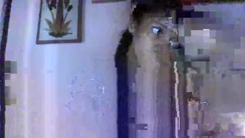 anniesexy1 online show from February 26, 7:01 am