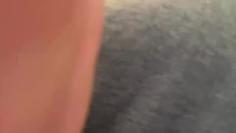 anonomousloser online show from May 1, 3:17 pm