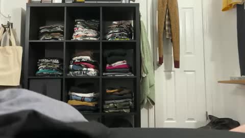 cowboy online show from November 20, 8:02 am