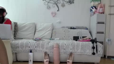 Proha online show from November 25, 8:46 am