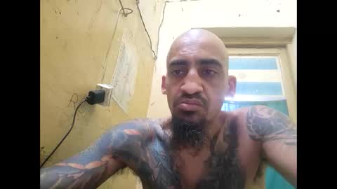 apapal12 online show from January 14, 4:53 am