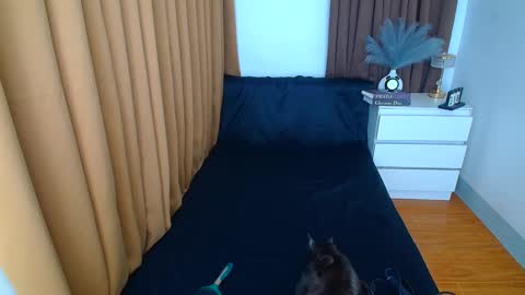 Snapshot of arabella_califa chatting on March 9, 12:21 am ARABELLA online show from March 9, 12:21 am