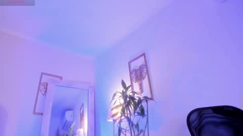 Archie online show from February 7, 2:47 pm