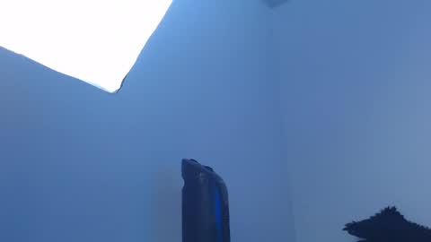 Ariana online show from March 30, 1:00 pm