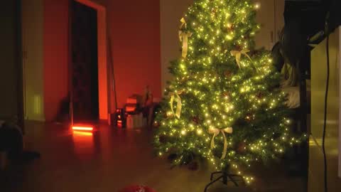 Olivka online show from December 30, 5:48 am