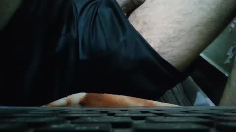 art_max99xxx online show from January 12, 2:14 am