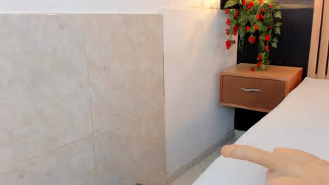 Ana online show from December 29, 8:04 pm