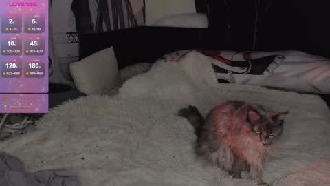 Sasha next stream December 4st  at  0000- 0030 am German time online show from September 20, 11:52 pm