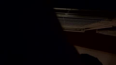 ashlynnblackx online show from April 21, 4:41 am