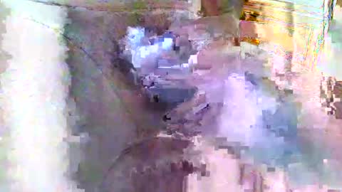 attel online show from September 15, 12:50 pm