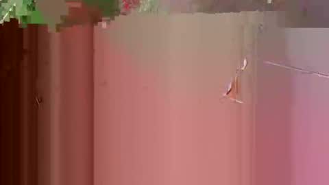 aussiechoc online show from November 23, 10:30 pm