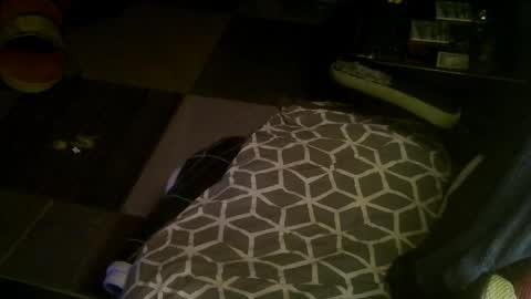 Zin online show from November 20, 4:04 pm