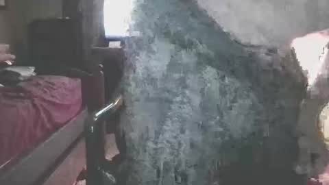 b_johnson530 online show from December 1, 2:53 am