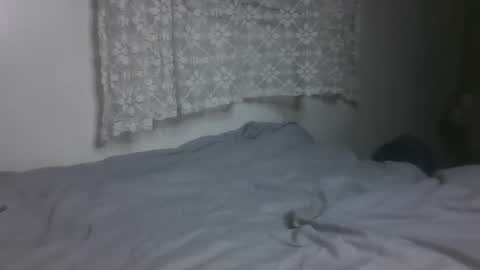 Ava online show from November 15, 12:23 am