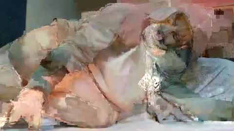 Poindexxxter online show from February 20, 7:08 pm