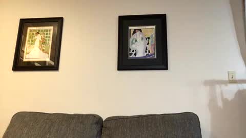 badbi1000 online show from November 9, 7:01 am