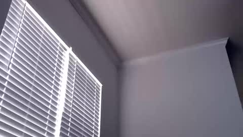 BADBRAD646 online show from November 23, 6:28 pm