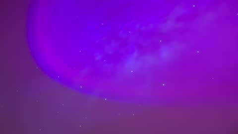 baddiejess618433 online show from February 23, 5:23 am