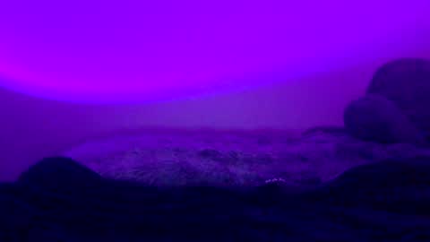 baddiejess618433 online show from January 5, 6:02 am