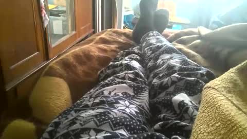 Carlos online show from December 21, 8:48 pm