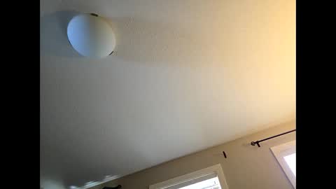 bailey_jace online show from March 7, 3:56 pm