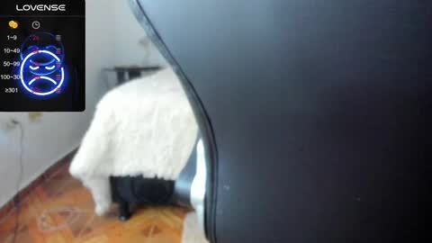 Snapshot of baileyadamss chatting on February 17, 5:47 am IM BAILEY online show from February 17, 5:47 am