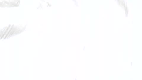 baker305 online show from March 19, 1:27 pm