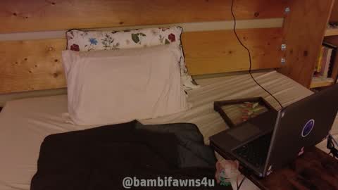 Bambi online show from November 29, 5:04 am