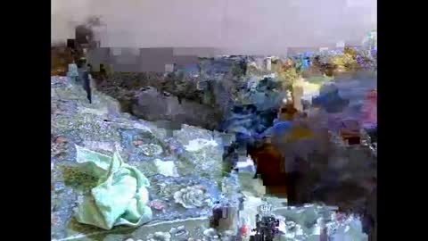 black is beauty online show from September 16, 7:17 pm