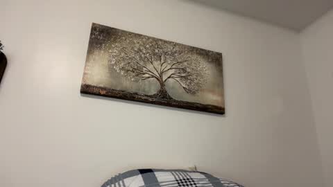 chicka online show from February 14, 6:02 am