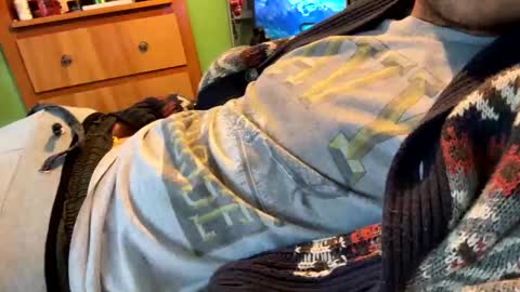 Ball Player Next Door  online show from November 2, 5:13 pm