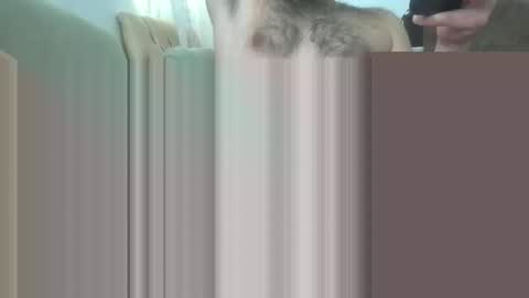 bathoneacock online show from March 2, 8:16 am