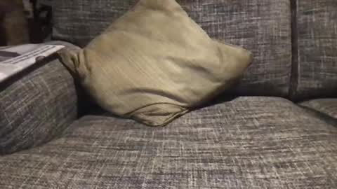 Snapshot of baykiwi54 chatting on December 17, 8:45 am baykiwi54 online show from December 17, 8:45 am