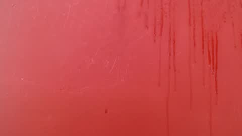 bayonette_black online show from November 17, 7:27 pm