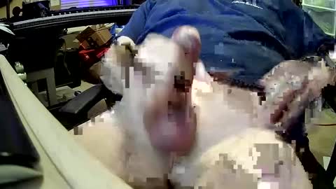 bb5199bb online show from December 27, 1:00 am