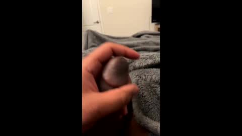 Snapshot of bbc4_fun chatting on February 23, 6:07 am bbc4_fun online show from February 23, 6:07 am