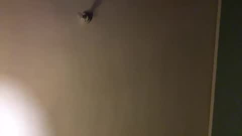 bbc_in_chitwn online show from February 1, 10:44 pm