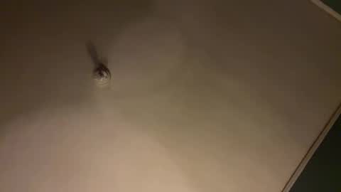 bbc_in_chitwn online show from January 31, 7:50 am