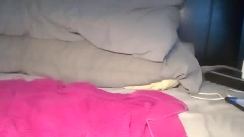 bbwlover1527 online show from April 14, 5:16 pm